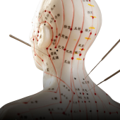 acupuncture point